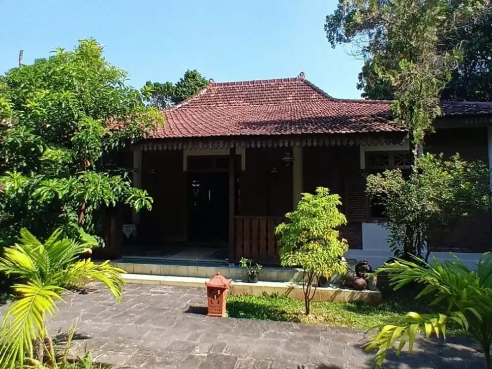 Villa Estetik dengan Private Pool di Pendowoharjo Sewon Bantul