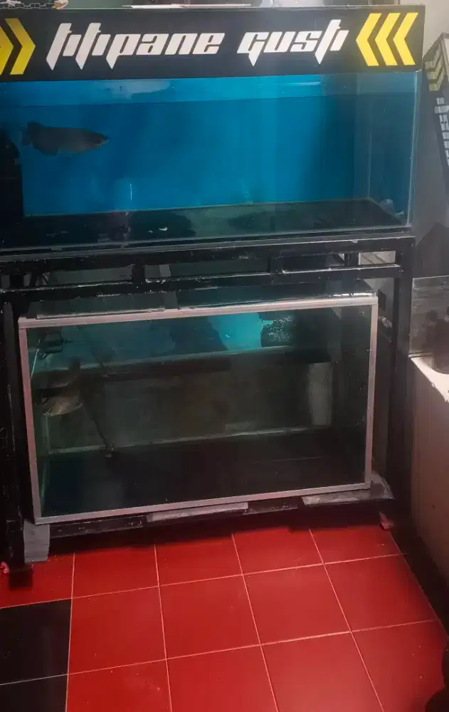 1 set (2Aquarium) + Rak