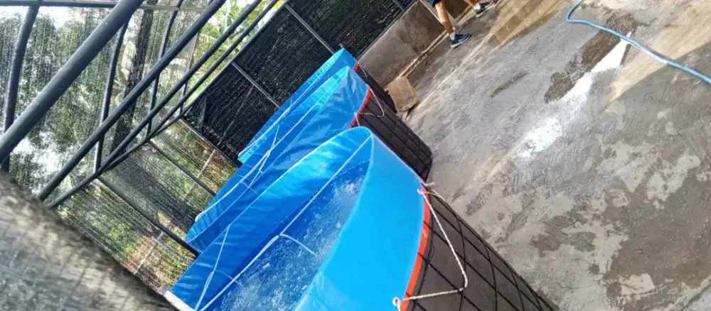 KOLAM TERPAL IKAN