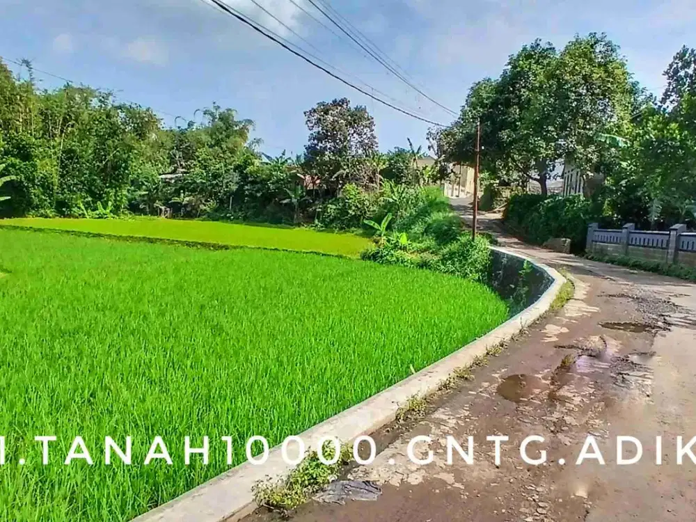 Dijual tanah subur luas pinggir jalan view bagus akses gampang sejuk asri