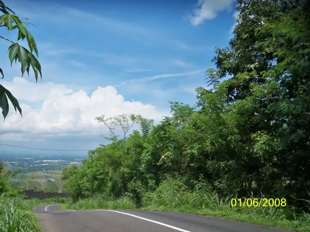 Lahan Tanah Kebun di Nongko Jajar Tutur Pasuruan