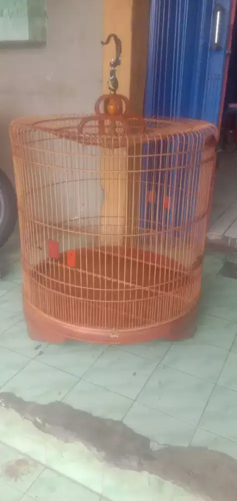 sangkar burung murai