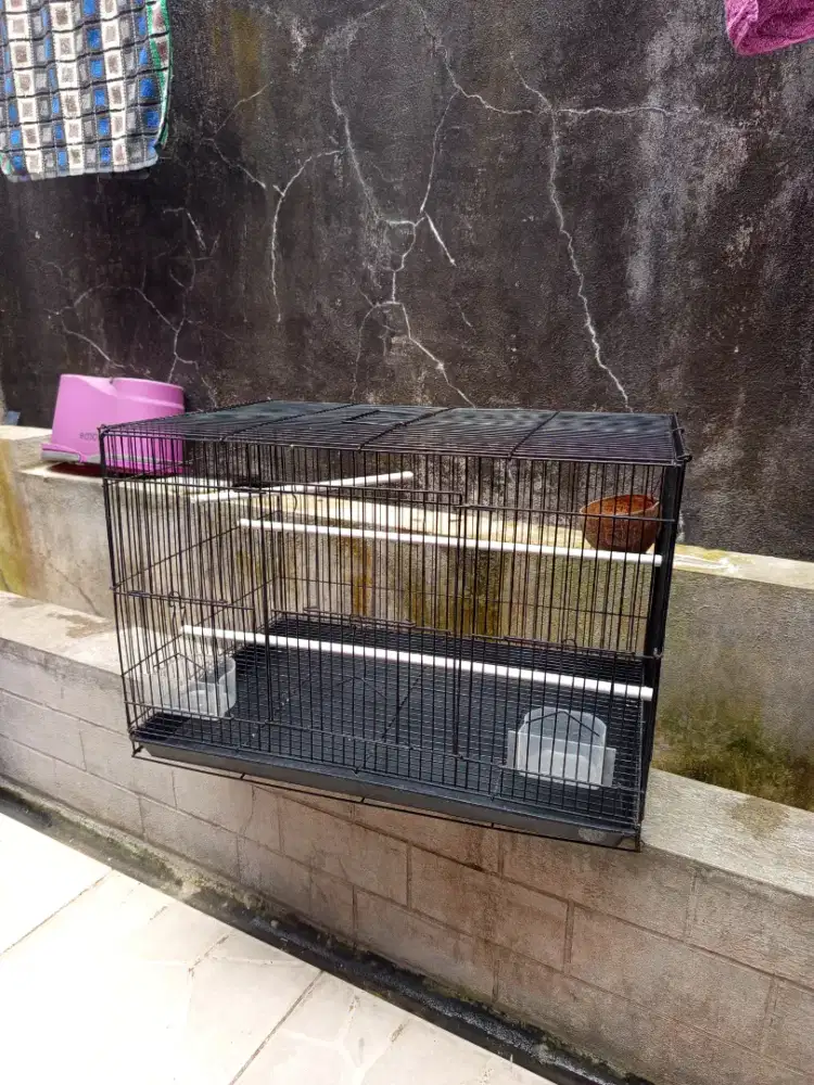 Jual kandang burung kotak bonus glodok