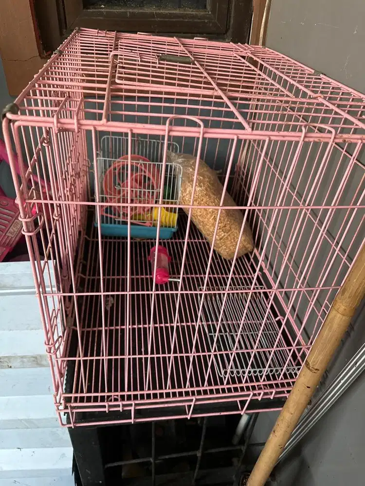 Kandang kucing dan kandang hamster