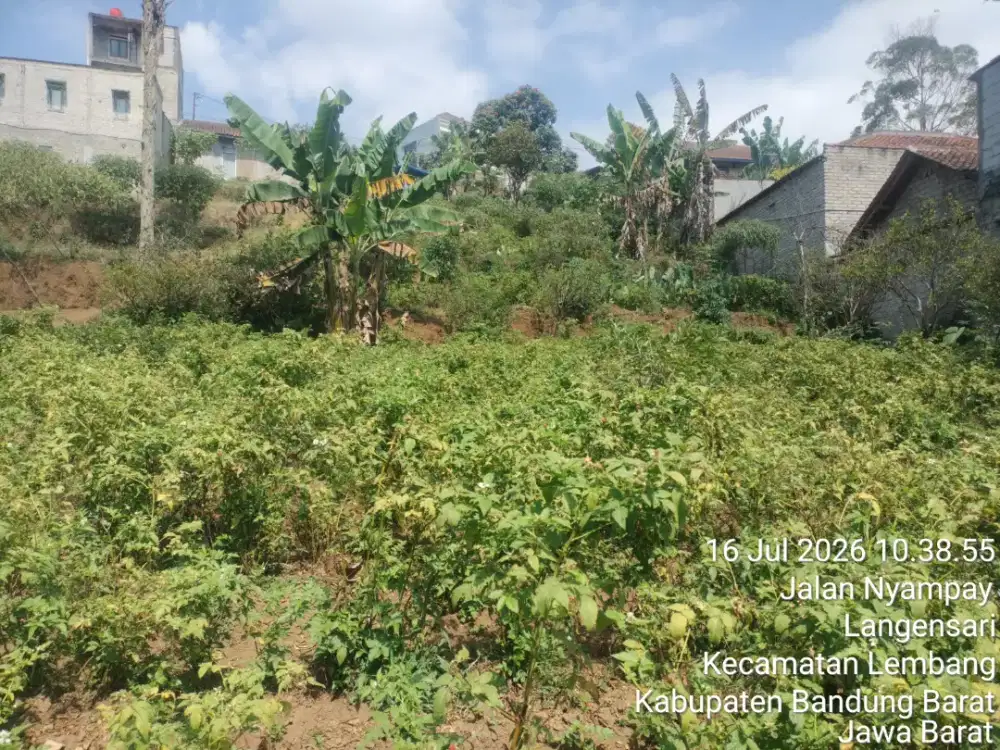 Jual cepat tanah kebon