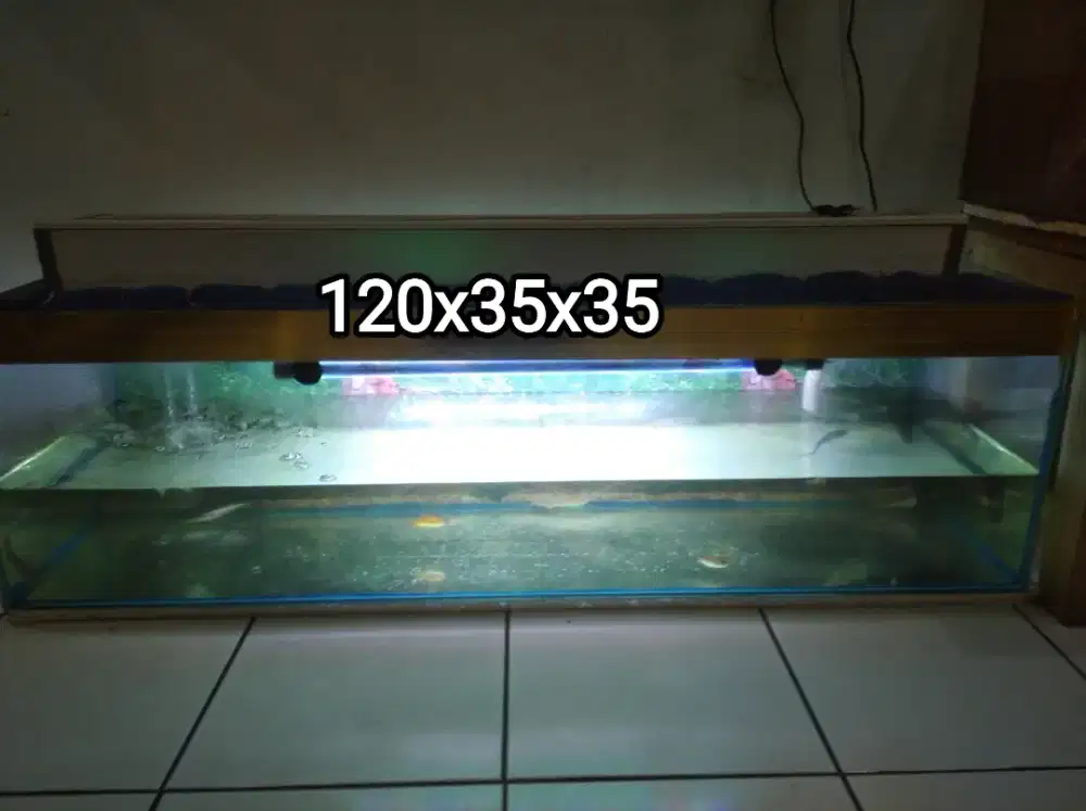 aquarium full set