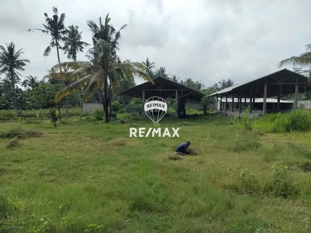 *DIJUAL CEPAT!! LAHAN STRATEGIS EX.TERNAK SAPI KALIPURO, BANYUWANGI
