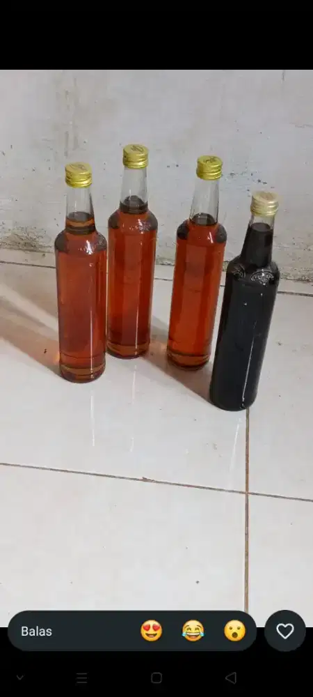 Madu hutan asli sumatera