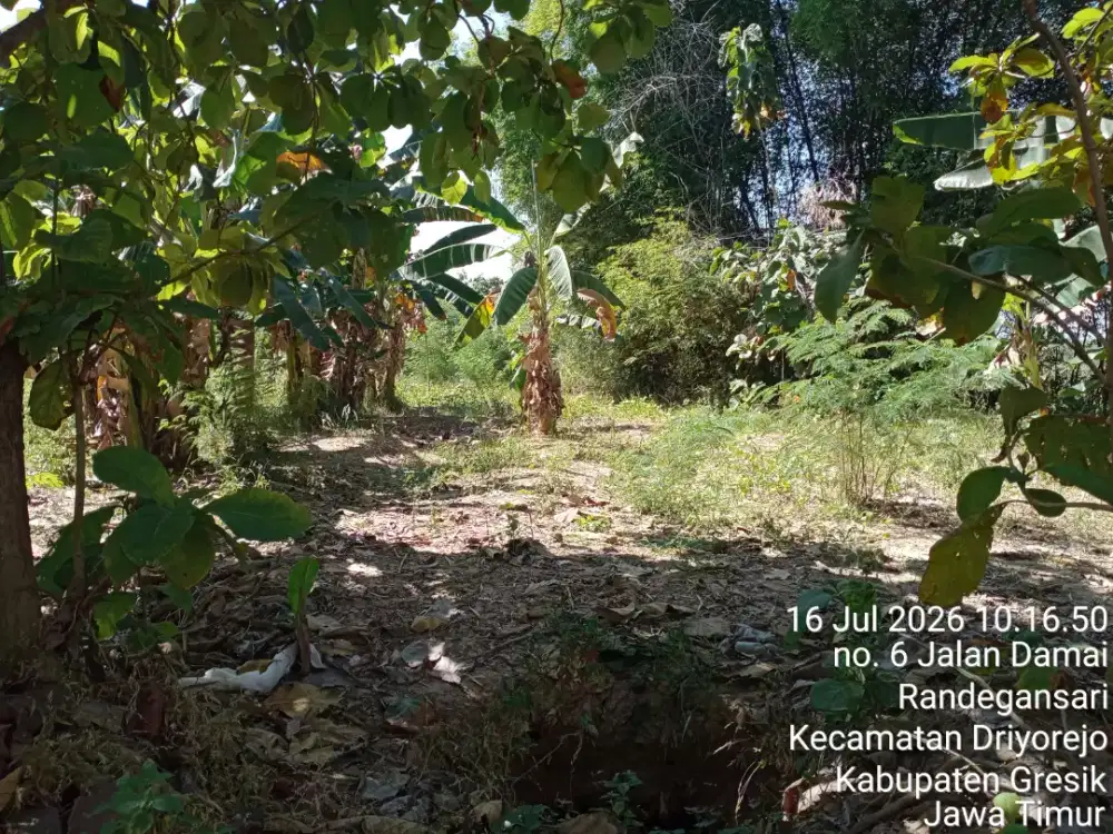 Dijual Tanah Di Wedoro Anom
