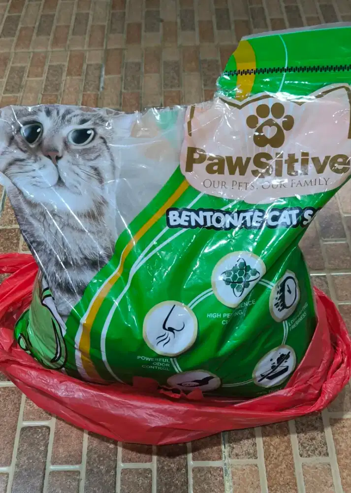 Jual Murah Pasir Kucing Pawsitive