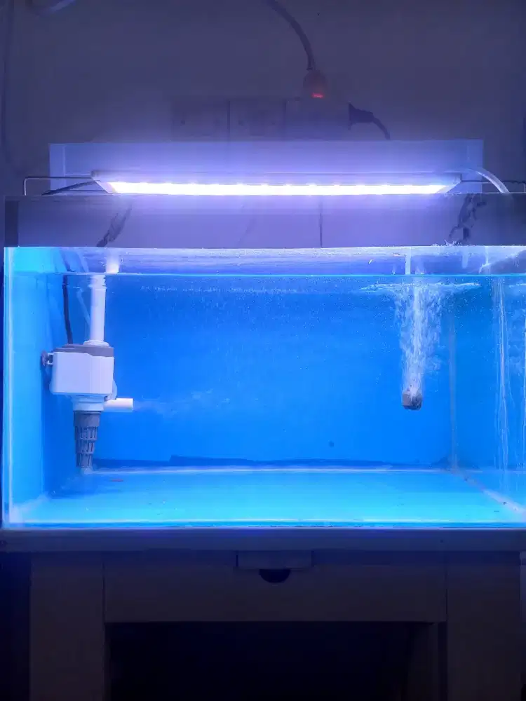 Aquarium 50 x 30 x 30 1 set lengkap