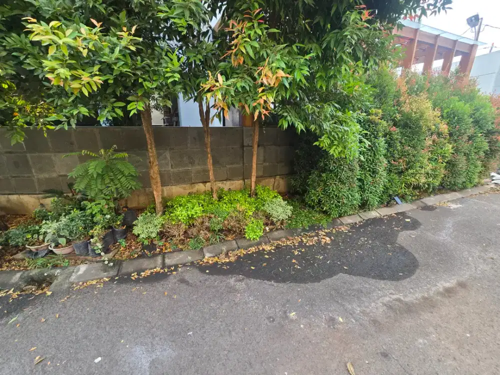 Dicari pengurus taman