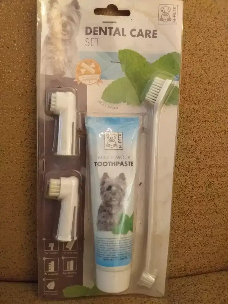 Dental Care for Dog