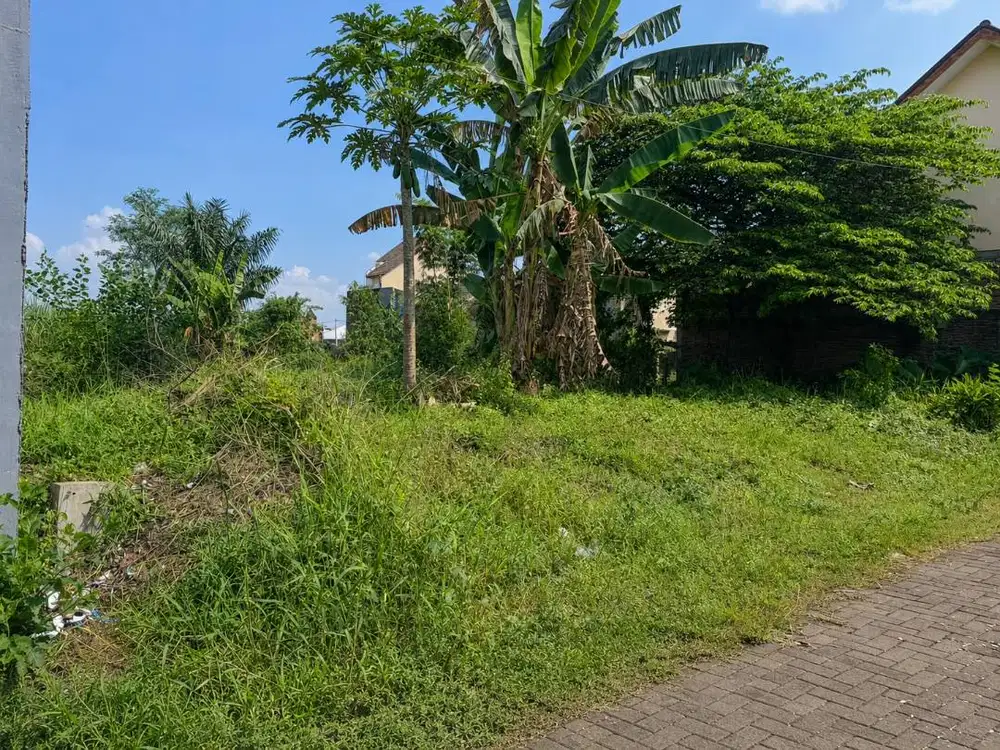 Tanah SHM 84 m² Griya Wijaya Kusuma Arjowinangun – Siap Bangun