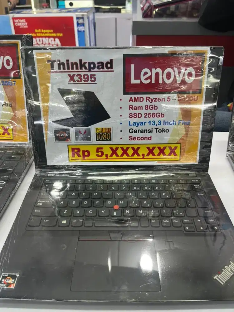 Lenovo Thinkpad X395