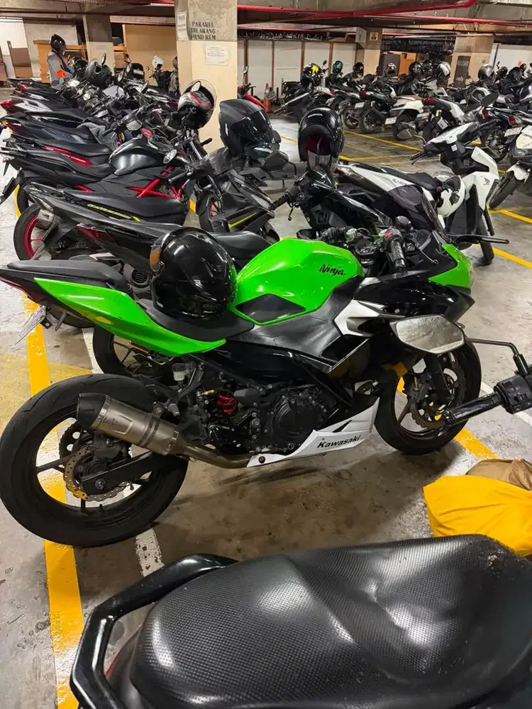 Ninja 250 Fi New (2017)