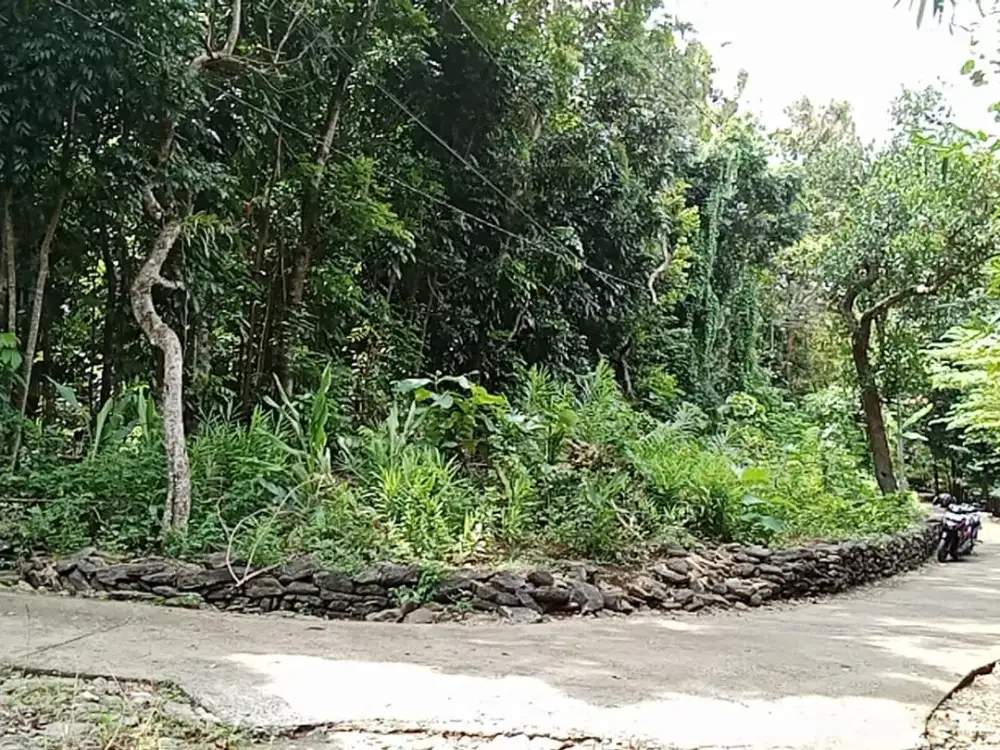 Tanah Tegalan Luas Murah di Pajangan Bantul#Kode : TS 004