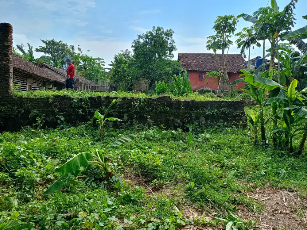 Dijual Tanah di Belakang Indomaret Payak, Piyungan, Bantul, Yogyakarta