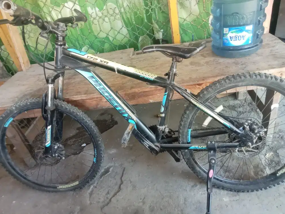Original PHOENIX DI JUAL MURAH ukuran 26