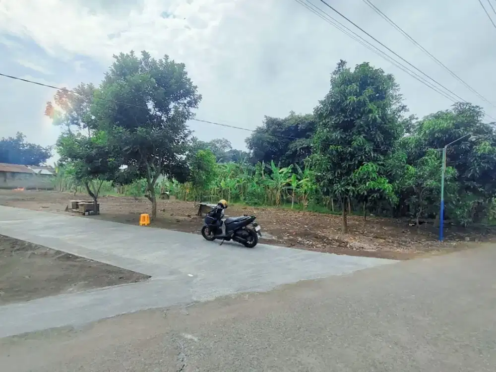 Tanah Pekarangan Bagus Murah di Kasihan Bantul#Kode : TP 026