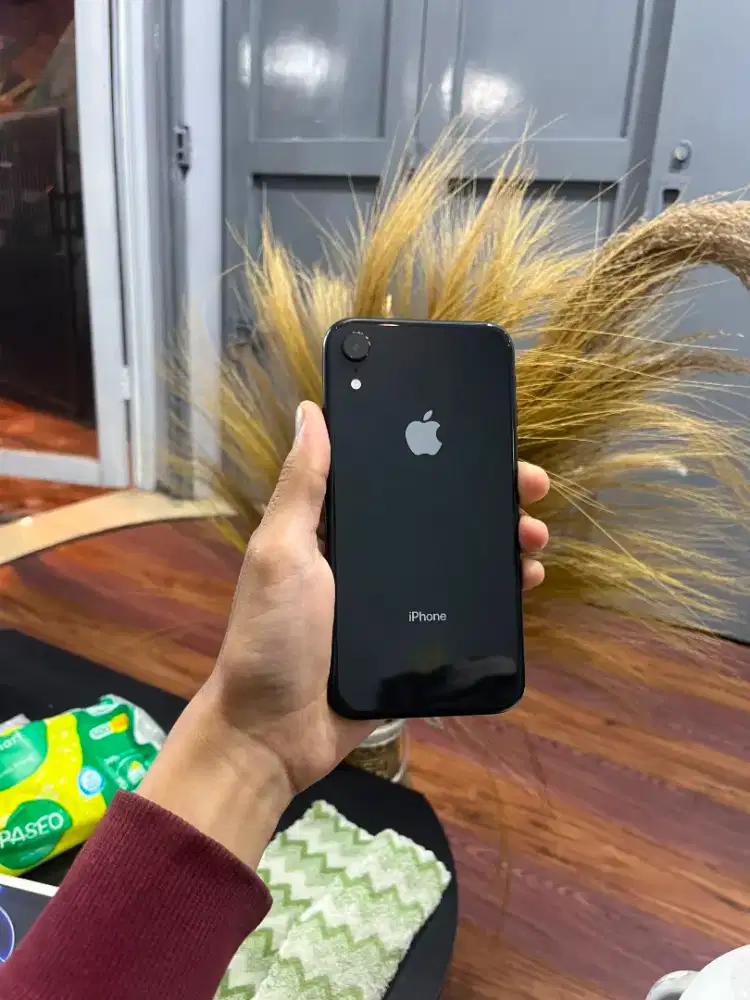 iPhone xr 128 ibox