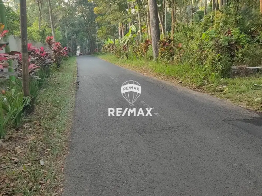 DIJUAL CEPAT!! LAHAN STRATEGIS GOMBENGSARI - KALIPURO, BANYUWANGI