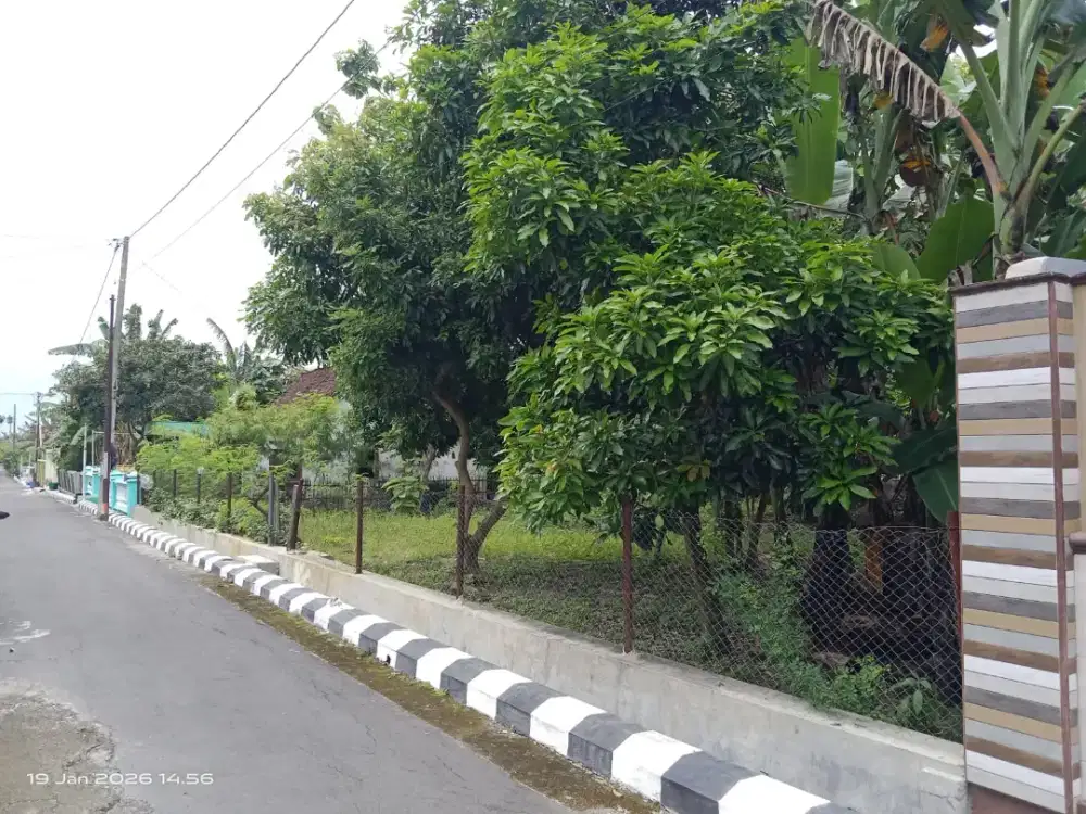 Jual tanah pekarangan