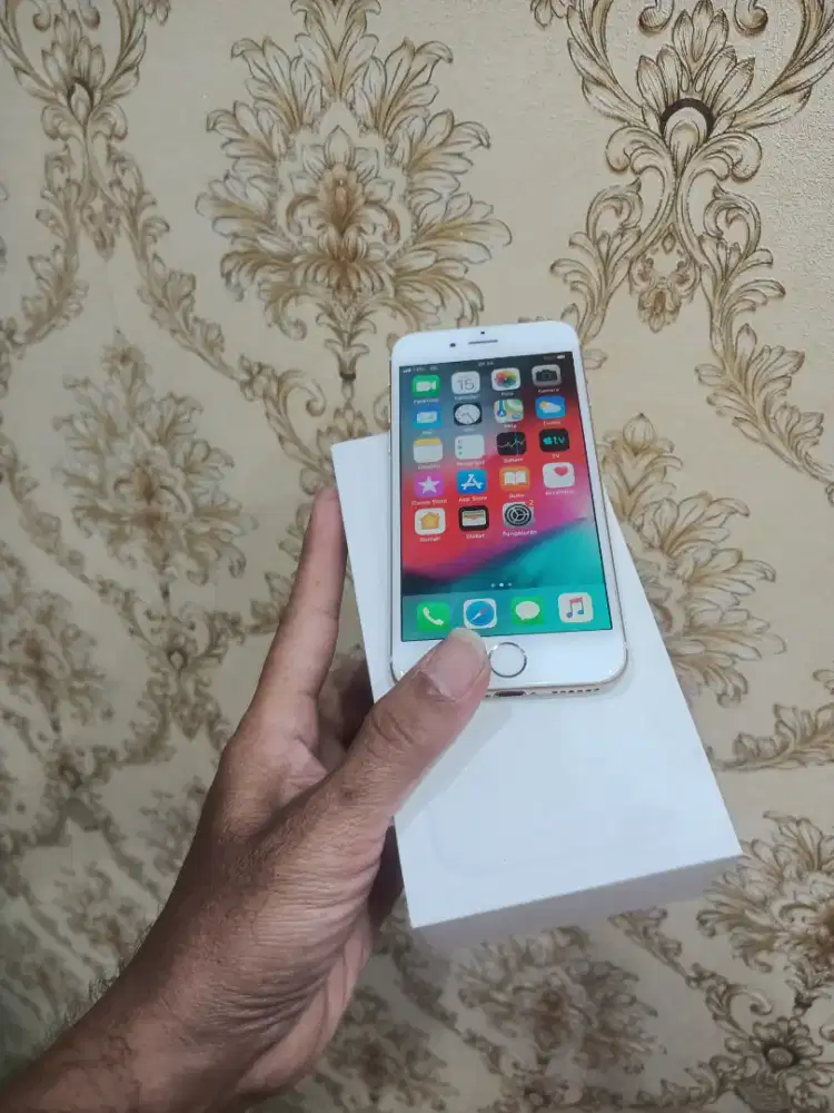 iPhone 6 internal 64 mlus normal semua nya lkp