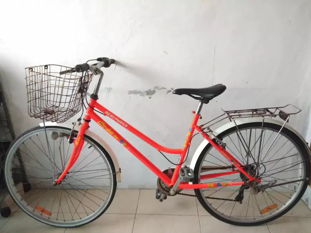Sepeda jadul dewasa
