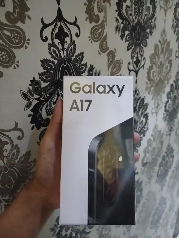 Samsung A17 segel