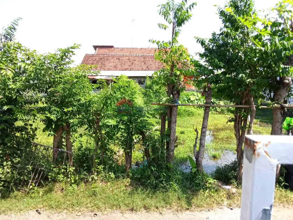 Jual Tanah Strategis Probolinggo Dekat Gor A Yani Cocok Rumah