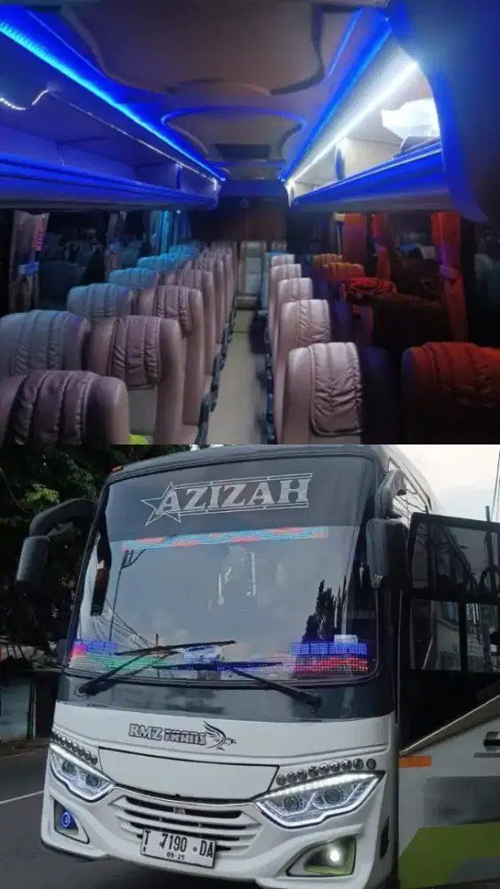 Medium Bus Pariwisata Seat 33
