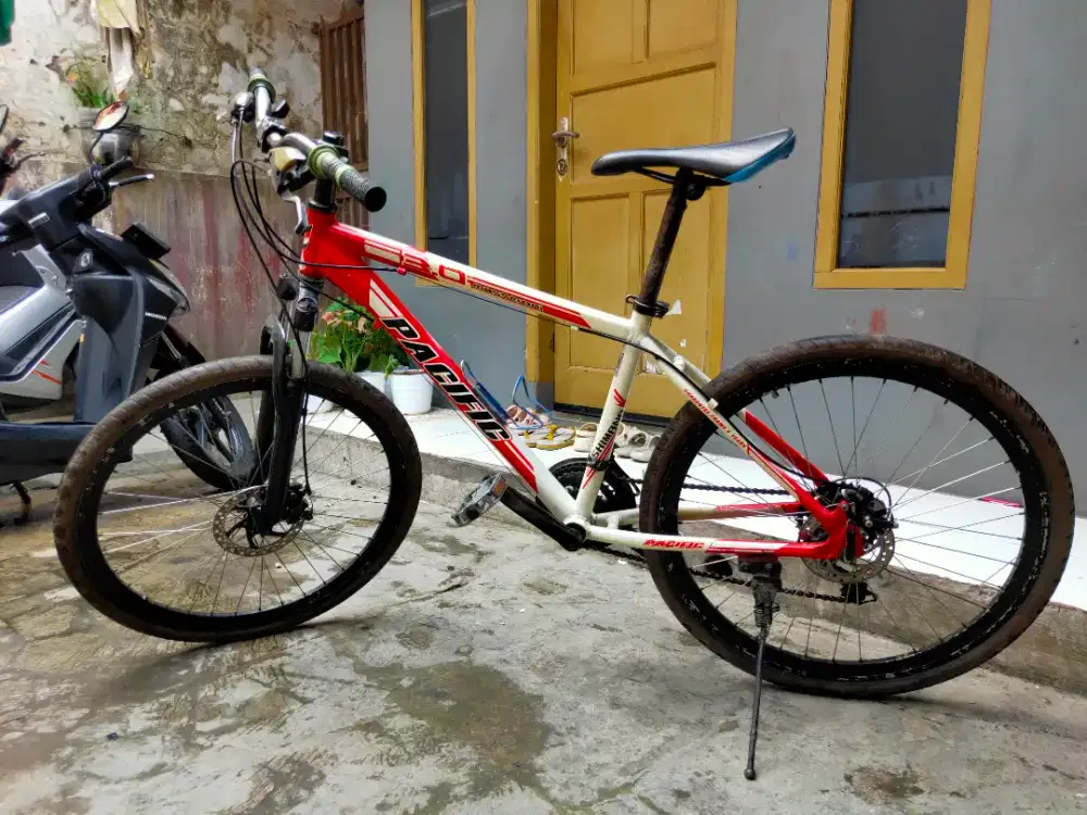 MTB Pacific Masseroni 3.0 26 Alloy
