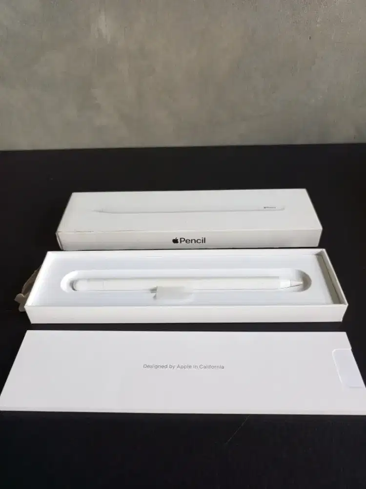 Apple Pencil USB-C