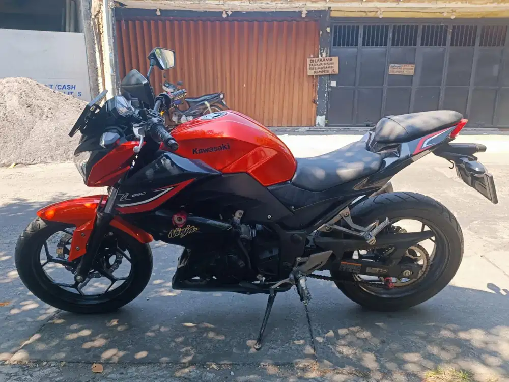 ENY MOTOR - CIAMIK! KAWASAKI NINJA Z 250CC 2017 - KM 10RB