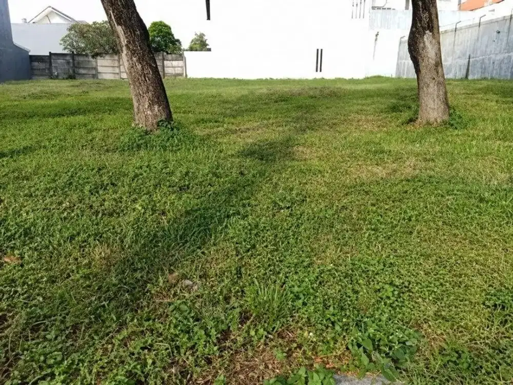 Termurah Tanah Kavling Komersial Citraland Raya Green Hill Paling Murah Surabaya