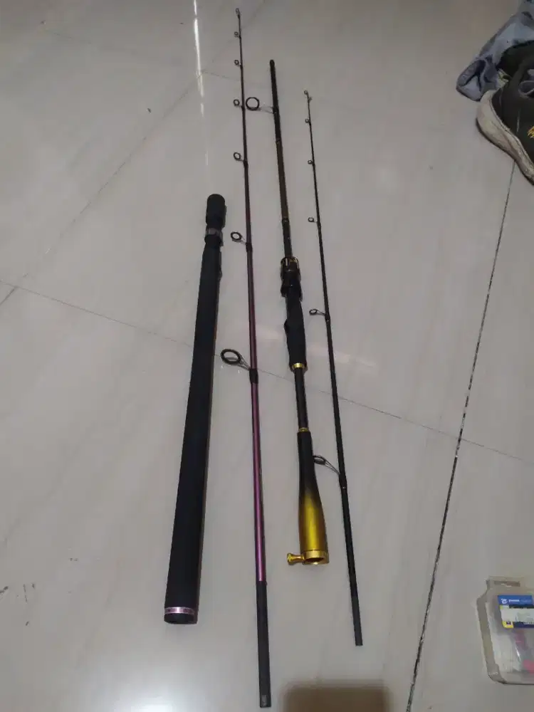 Joran pancing spinning