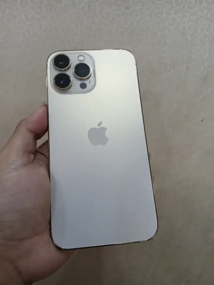 IPhone 13 pro max 256Gb Regist