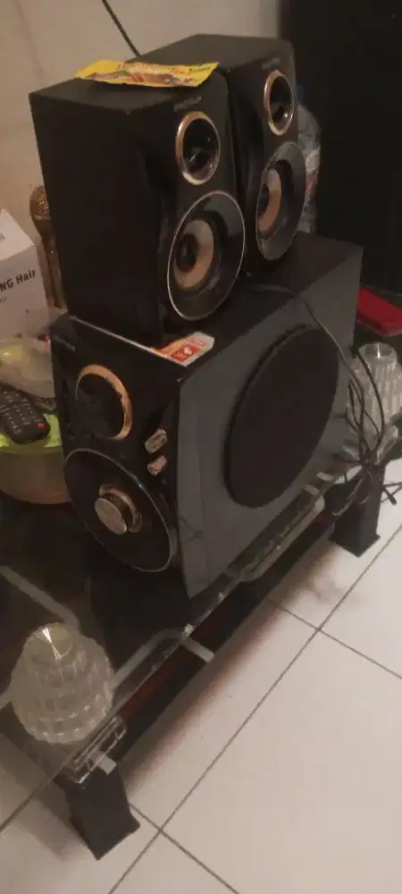 speaker polytron