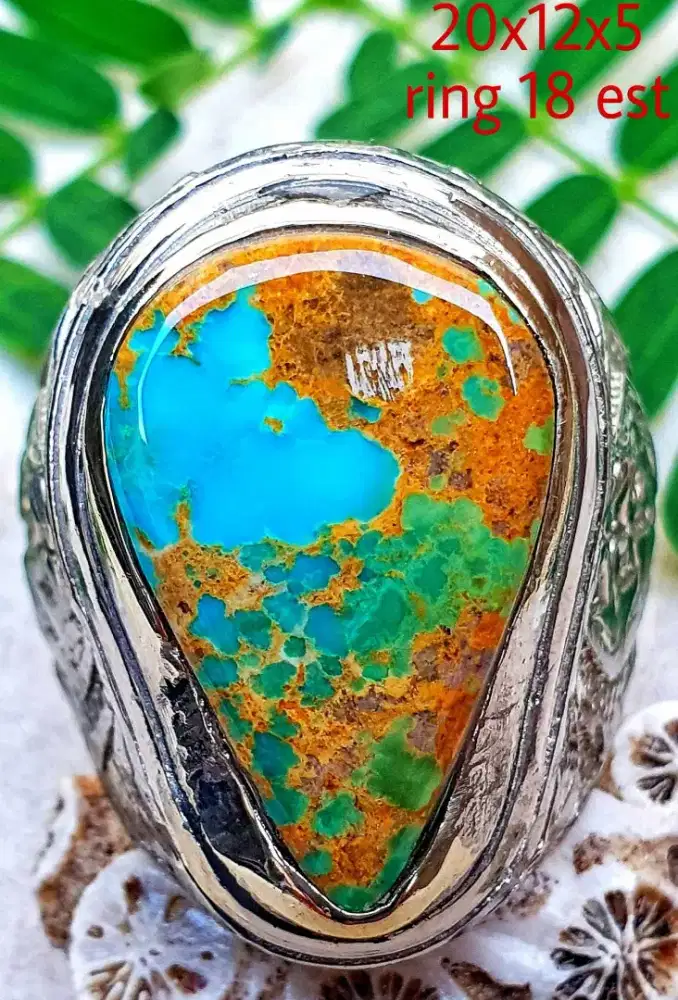 Pirus persia natural