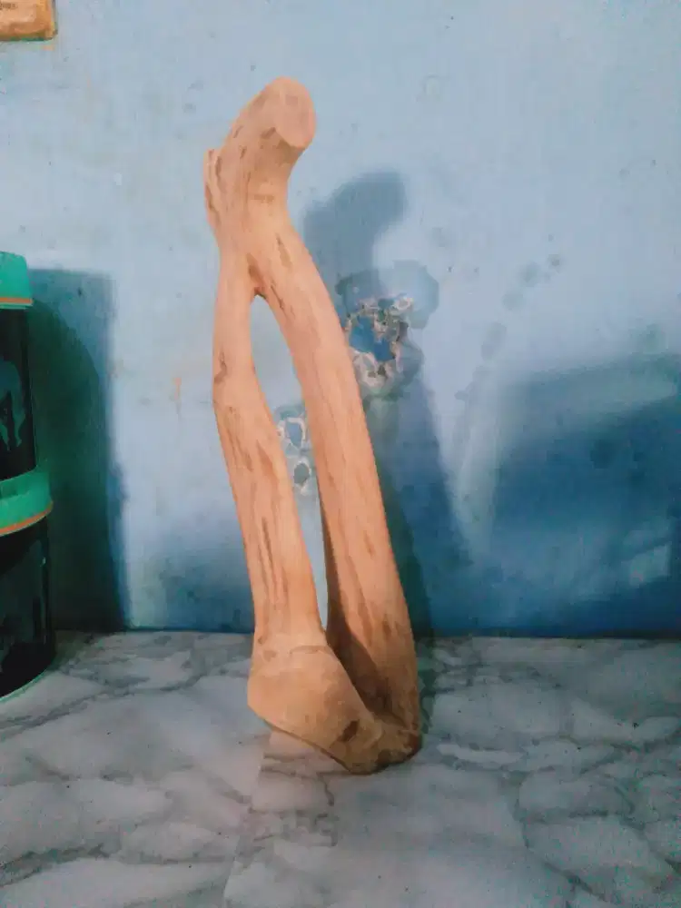 Jual akar mimang alami