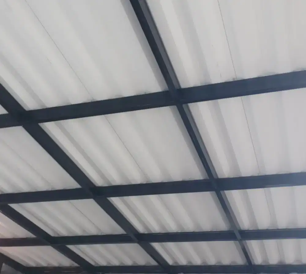 Canopy minimalis