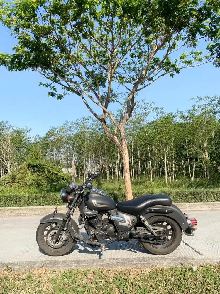Benelli efi 200