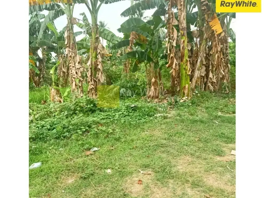 DIjual Tanah di Labuhan Ratu, Bandar LAmpung (kode : des 3607)
