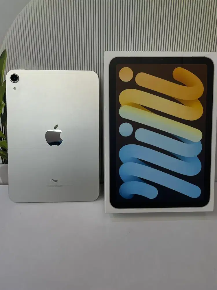 Ipad mini 6 64gb Starlight Wifi only mulus