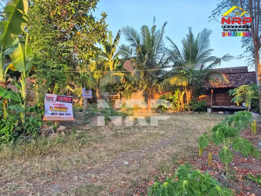 Dijual Tanah Murah Akses mudah 100 Jutaan di Kebalenan Banyuwangi