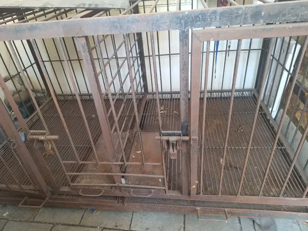 Kandang anjing dari besi kokoh