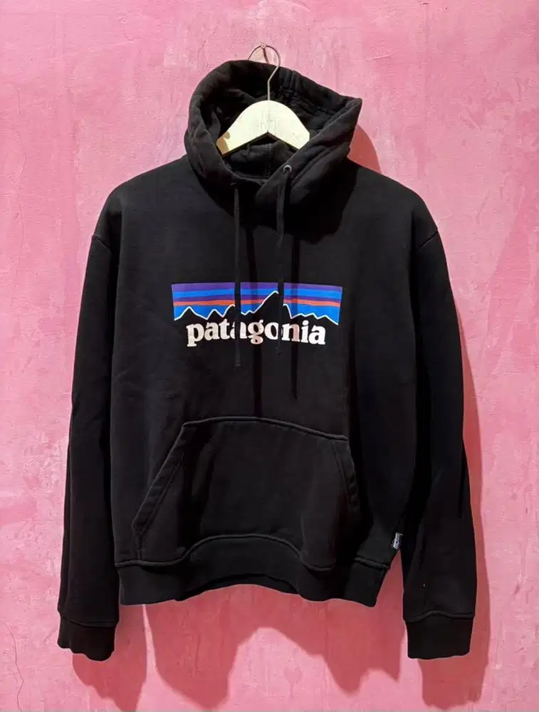Hoodie patagonia