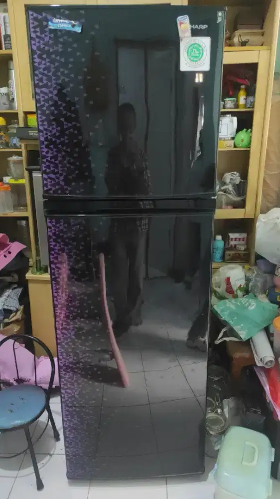 Kulkas sharp 2 pintu