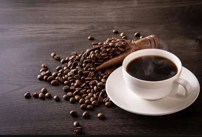 Barista | waiters Wanita